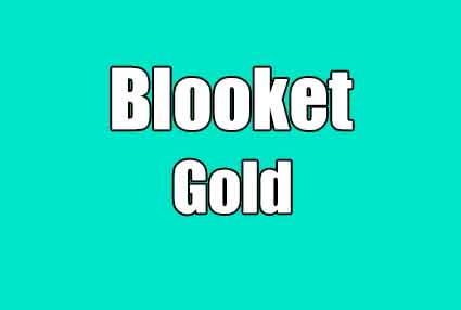 blooket gold